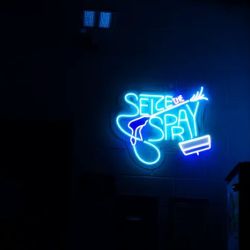 Seize the Spray ico