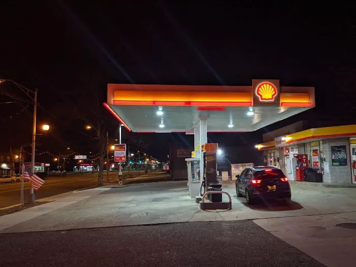 Vineland Shell 5