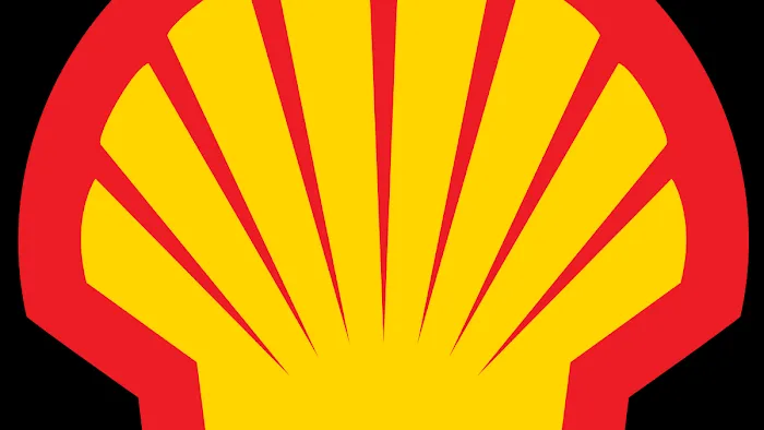 Vineland Shell 4