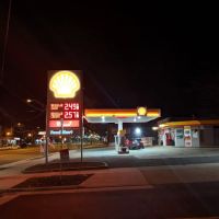 Vineland Shell