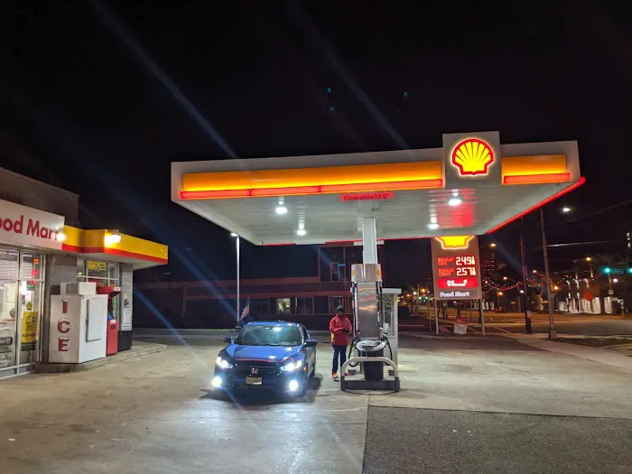 Vineland Shell 1