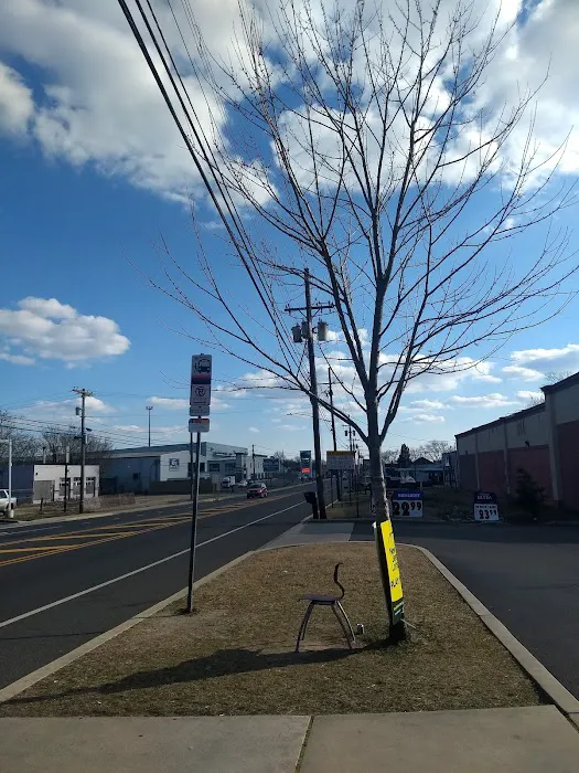 Riggins Gas Station Delsea & Chestnut 1