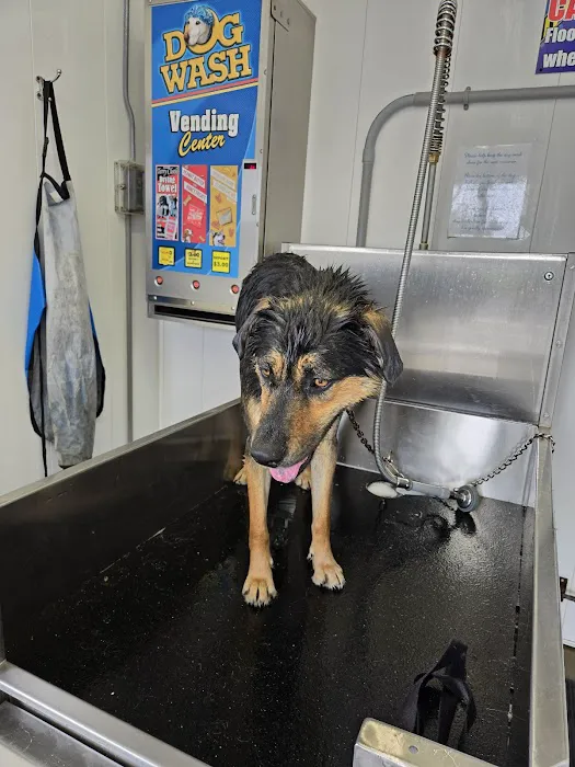 Hamilton Car & Pet Wash 0