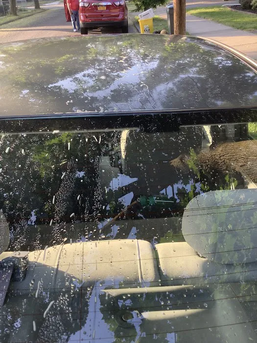 CK's Car Wash 1