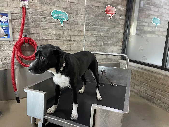 Hoffman Car Wash 9