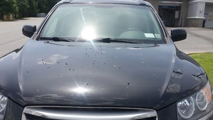 Precision Wash 7