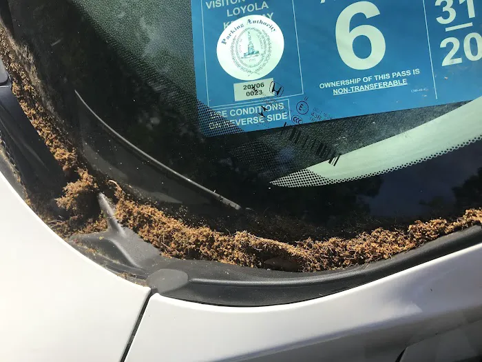 Carroll Fuel Car Wash 5