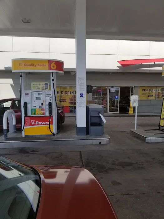 Shell 6
