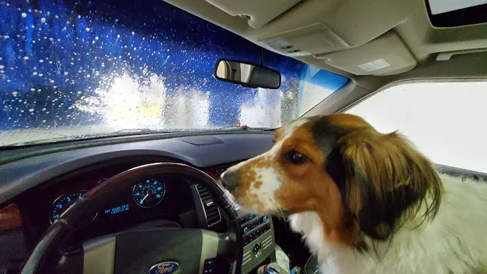 Quick'n Easy Auto wash 0
