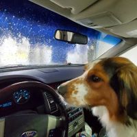 Quick'n Easy Auto wash