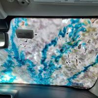 Car Wash