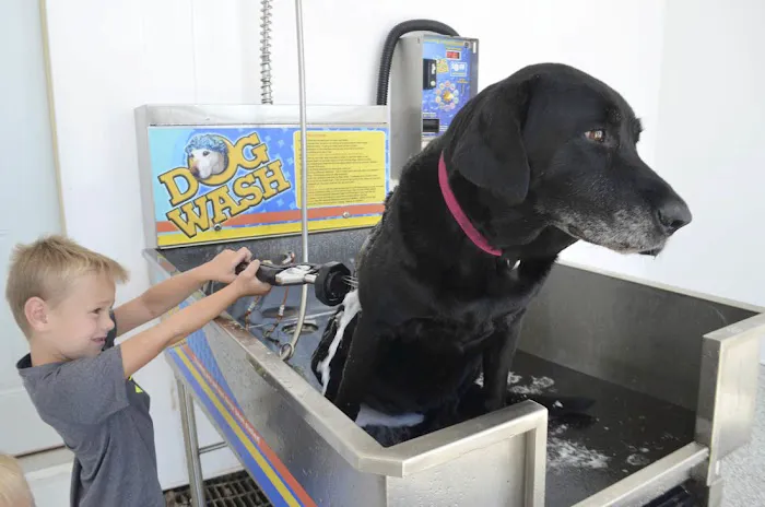 Quick n' Brite Car, Truck & Dog Wash 5