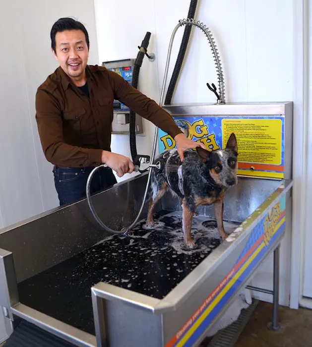 Quick n' Brite Car, Truck & Dog Wash 7