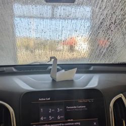 Village Car Wash ico