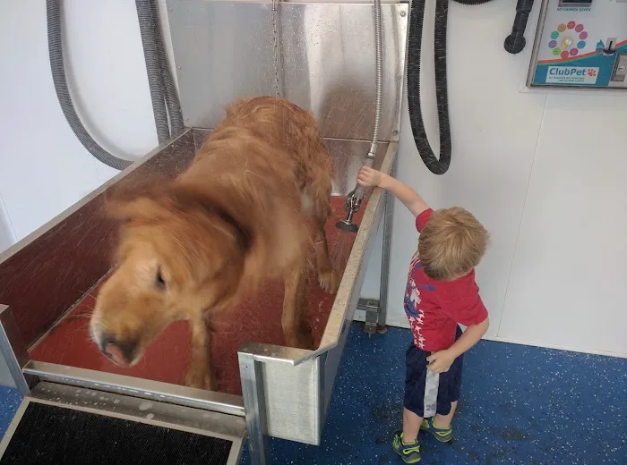 Maugans Avenue Car Wash 2