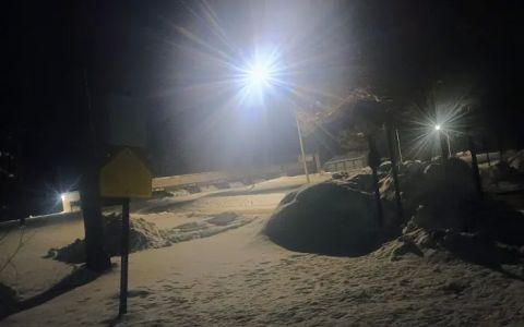 Halpin's Fuel Services