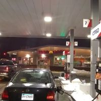FOODLAND #4