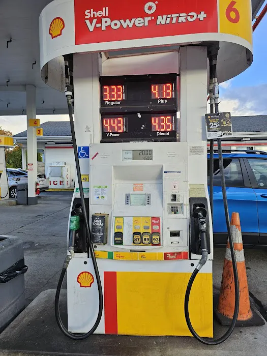 Shell 1