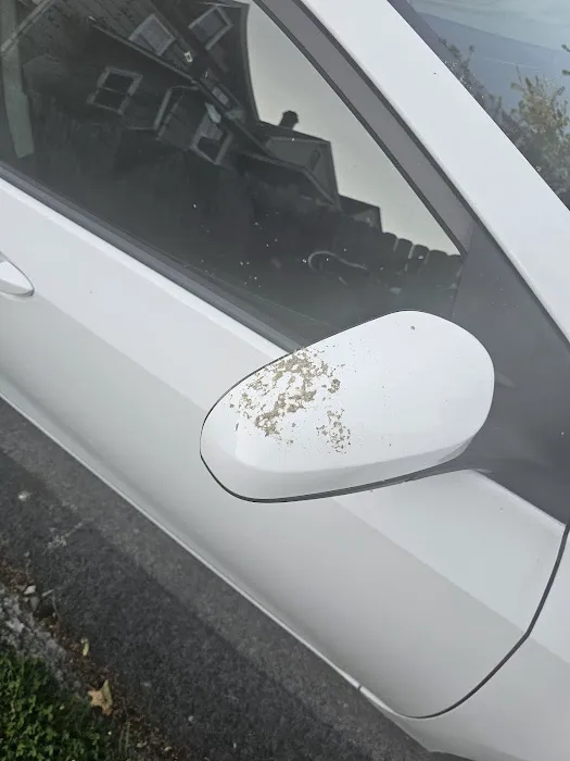 Laser Wash Car Wash 1