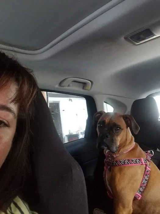 Ginger's Car Wash 8