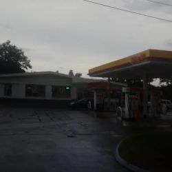 Shell ico