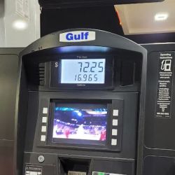 Gulf ico