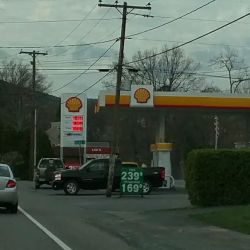 Shell ico