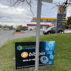 Shell ico