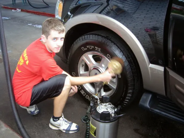 Palarino's Steel City Car Wash 8