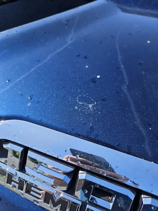 Magic Mist Auto Wash 5