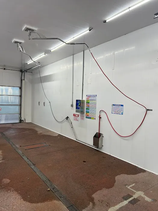 Magic Mist Auto Wash 0