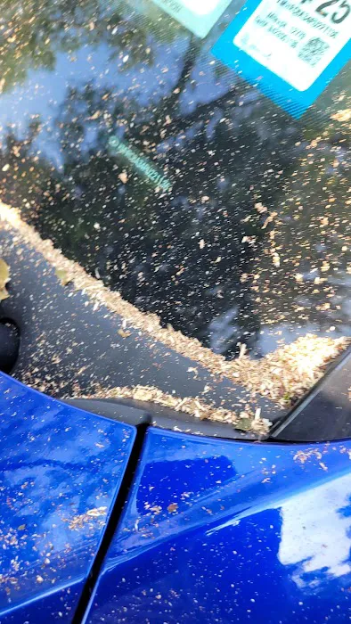 Twin Tiers Auto Wash 2