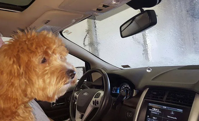 Plaza Express Car Wash 3