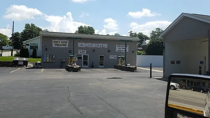 Tiny Bubbles Car Wash & Pet 1