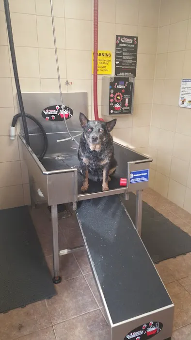 Tiny Bubbles Car Wash & Pet 5