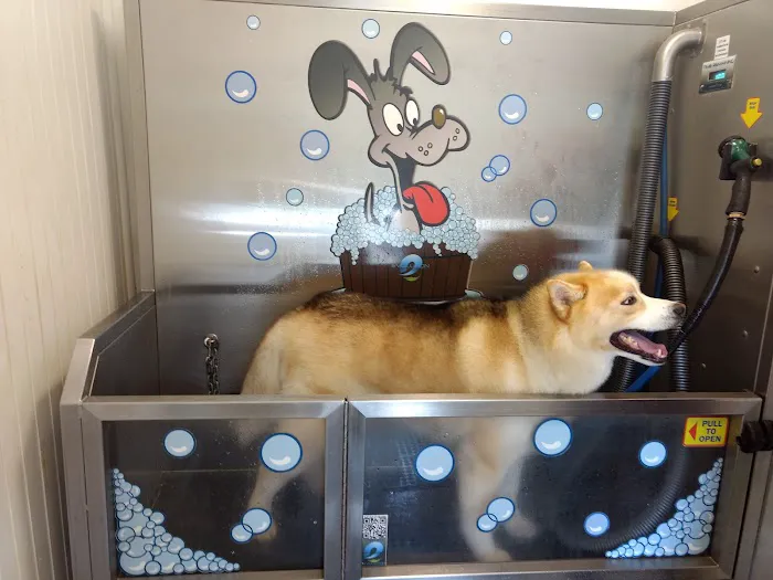 North Park Car & Pet Wash 3