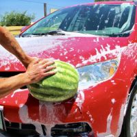 Wasserlauf's Watermelons and Wash