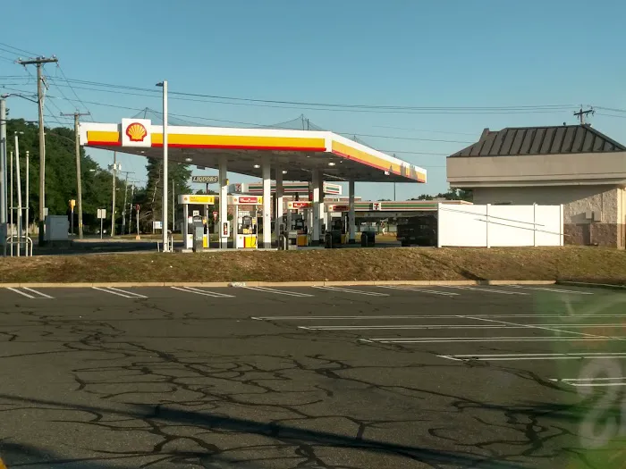 Shell 1