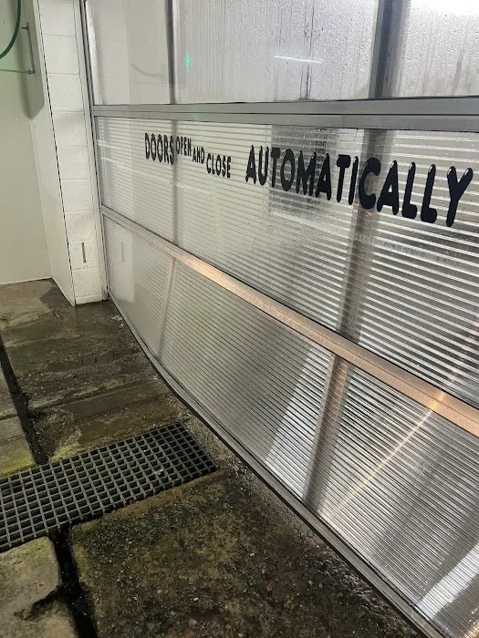 Professional Auto Wash 6