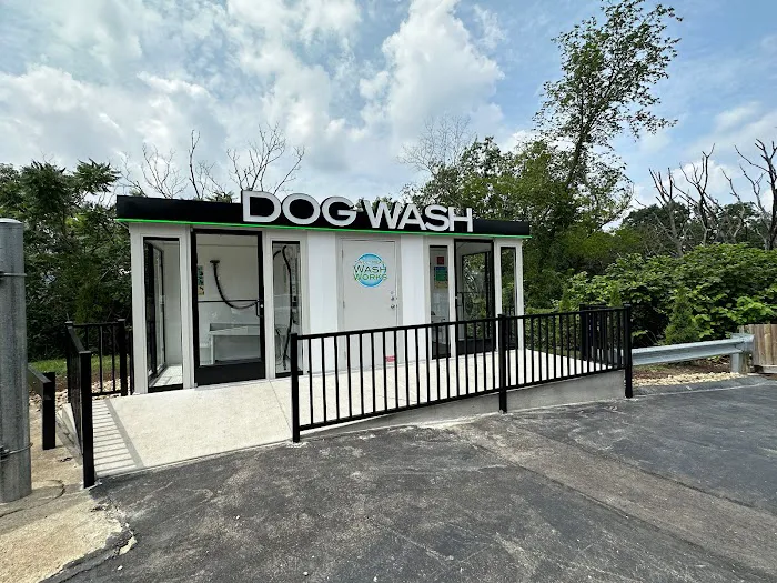 Sweet Pea's Dog Wash 5