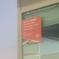 Giant Gasoline