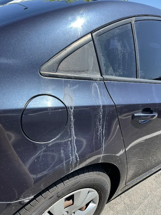 Mr Wash Car Wash 3