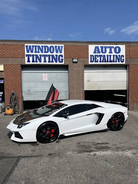 Trueshine Hand Wash & Window Tinting 6