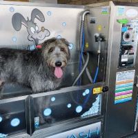 Mr. Suds Wash