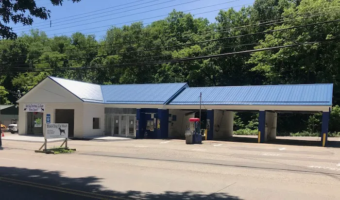 Black Dog Car Wash 6