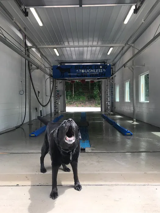 Black Dog Car Wash 8