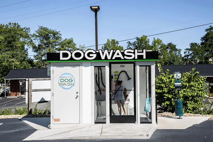 Sweet Pea's Wash Works 7
