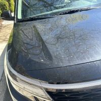 Dirks Car Wash Greentree