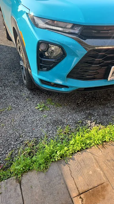 Precision Wash 1