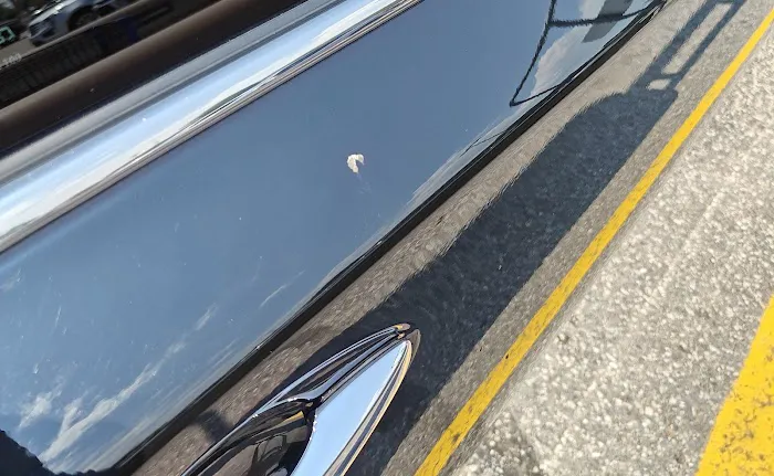 Ducky's Car Wash 4